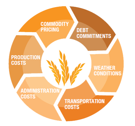 Agriculture Risk Cycle