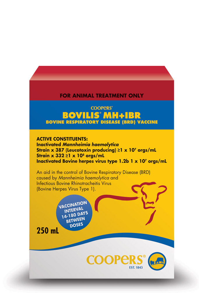 COOPERS Bovilis MH + IBR 250ml for vaccinations