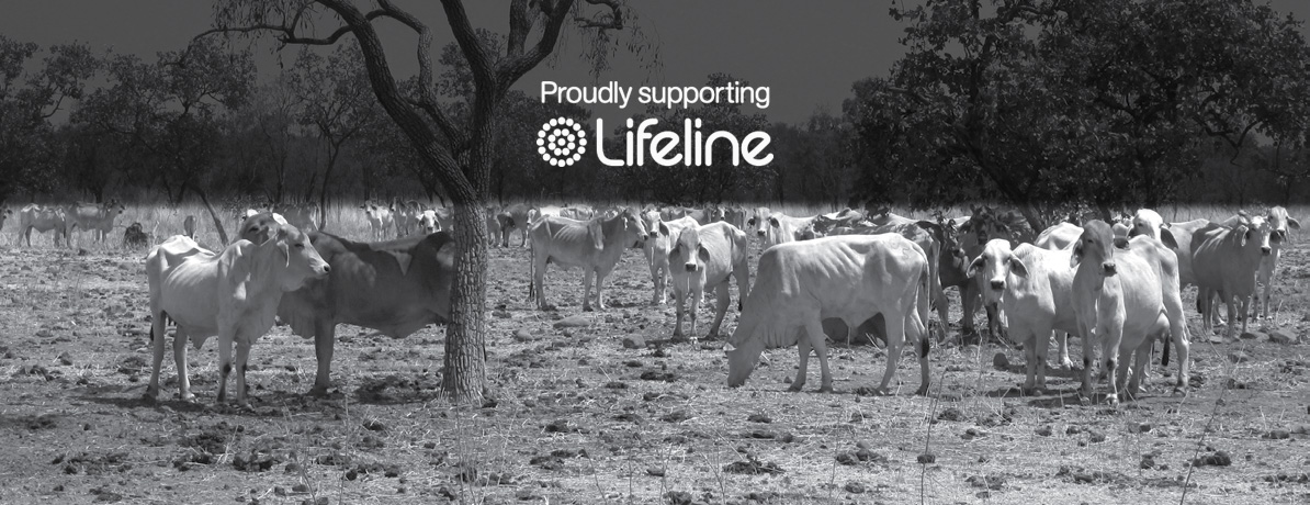 Proudly Supporting Lifeline