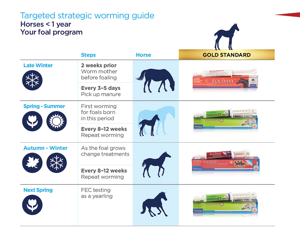 Foal Strategic Worming Guide
