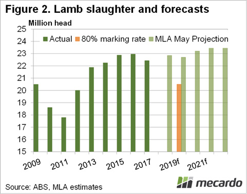 Mecardo Lamb Slaughter and Forecasts Chart