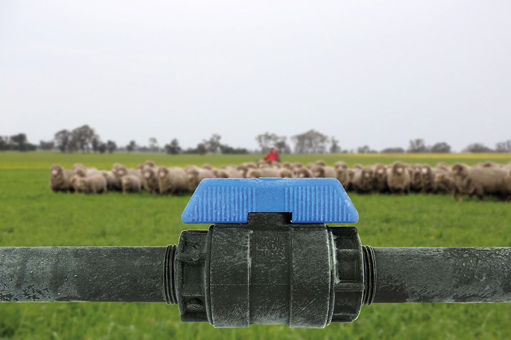 Philmac 0295 Poly Ball Valve in field with sheep