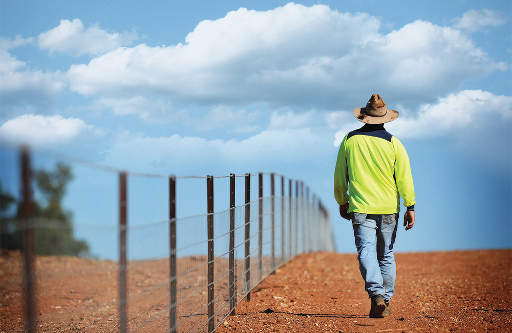Australian Farmer walking by a fence