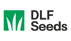 DLF logo