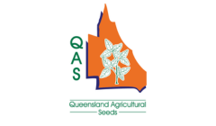 QAS logo