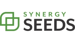 Synergy Seeds